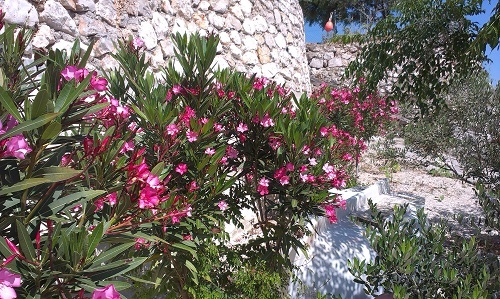 Chorvatsko květen